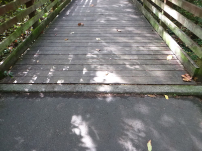 Edge where hard surface trail goes onto wooden bridge